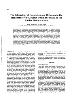 The Interaction of Convection and Diffusion in the Transport of 131I