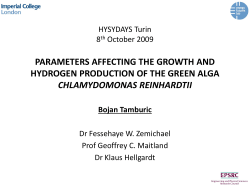C.reinhardtii growth kinetics C.reinhardtii - Workspace