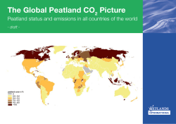 The Global Peatland CO2 Picture
