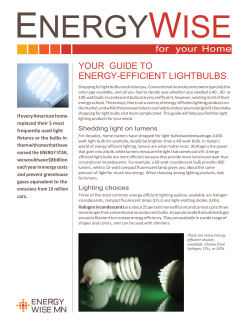 Energy-Efficient Lightbulbs - Steele