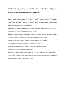 Burkholderia dipogonis sp. nov., isolated from root nodules of