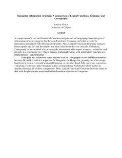 Hungarian information structure