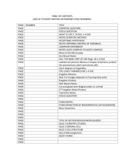 TABLE OF CONTENTS (SIZE OF STUDENT WRITING