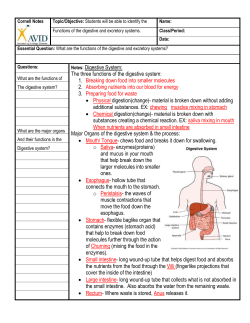 Digestive System