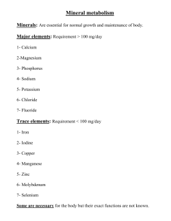 2- Magnesium