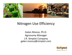 Nitrogen Use Efficiency in Cereal Grains