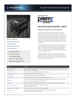 Prime 95B Datasheet