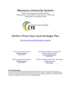 Perkins - Three Year Plan (Word)