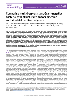 Combating multidrug-resistant Gram