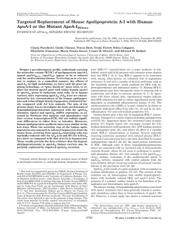 Targeted Replacement of Mouse Apolipoprotein A