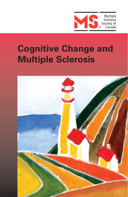 Cognitive E2 (singles):Layout 1