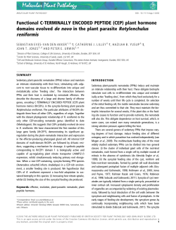 Functional C-TERMINALLY ENCODED PEPTIDE (CEP) plant