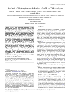 Synthesis of bisphosphonate derivatives of ATP by T4 RNA ligase