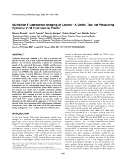 Multicolor Fluorescence Imaging of Leaves&mdash;A Useful Tool for