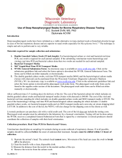 Use of Deep Nasopharyngeal Swabs for Bovine Respiratory