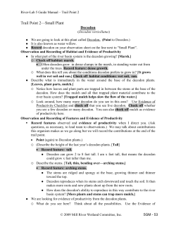 Trail Point 2&mdash;Small Plant - River-Lab