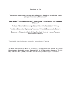 Supplemental File The pyruvate - tricarboxylic acid cycle node: a