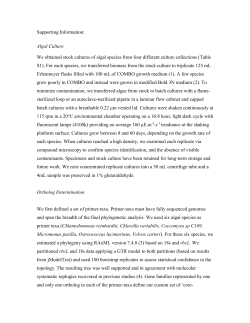 Supporting Information: Algal Culture We obtained stock cultures of