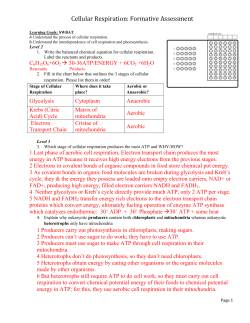 Cell Theory/Microscopy: Formative Assessment