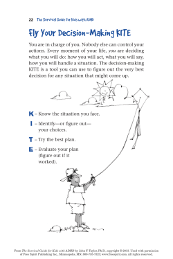 Fly Your Decision-Making KITE