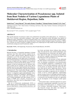 Molecular Characterization of Pseudomonas spp. Isolated from Root
