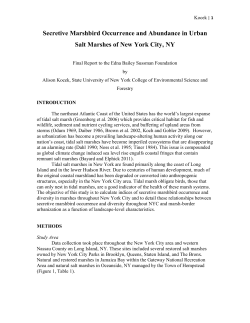 Secretive Marshbird Occurrence and Abundance in Urban Salt