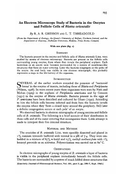 An Electron Microscope Study of Bacteria in the Oocytes and Follicle