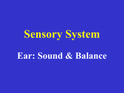 Hearing and the Inner Ear