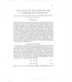 THE ECOLOGY OF THE TAMAR ESTUARY II. UNDER