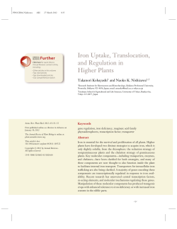 Iron Uptake, Translocation, and Regulation in Higher Plants