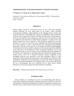 Thermography as sensor for downy mildew on roses S. G&oacute;mez, E.