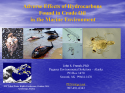 Northern Gulf of Mexico (2010