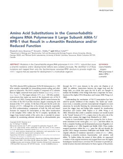 Amino Acid Substitutions in the Caenorhabditis elegans RNA
