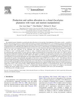 Production and carbon allocation in a clonal Eucalyptus plantation