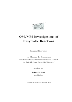QM/MM Investigations of Enzymatic Reactions - Heinrich