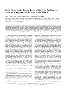 Early Steps in the Biosynthesis of NAD in