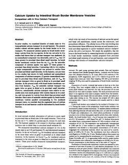 Calcium Uptake by Intestinal Brush Border Membrane Vesicles