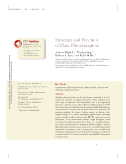 Structure and Function of Plant Photoreceptors