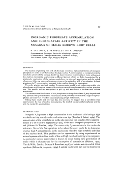 inorganic phosphate accumulation and phosphatase activity in the