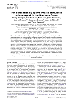 Iron defecation by sperm whales stimulates carbon export in the