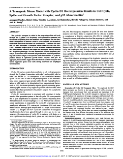 A Transgenic Mouse Model with Cyclin Dl Overexpression Results