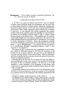 The so-called co-enzyme of alcoholic fermentation