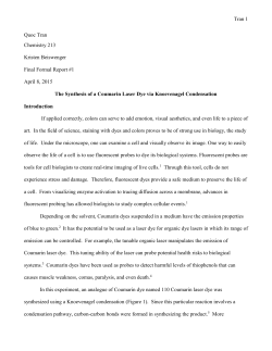 File - Quoc Tran`s E