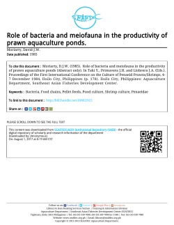 Role of bacteria and meiofauna in the productivity of prawn