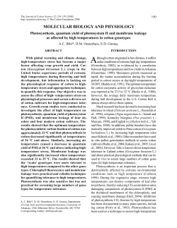 Photosynthesis, quantum yield of photosystem II and membrane
