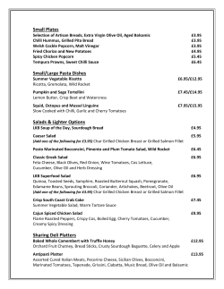 Small Plates Small/Large Pasta Dishes Salads