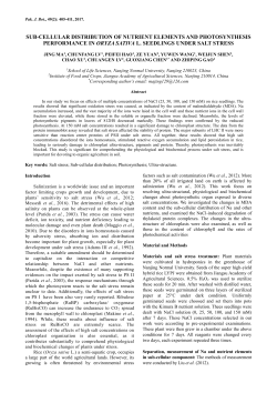 sun-cellular distribution and photosynthesis performance of salt