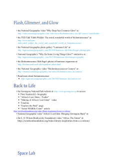 Flash, Glimmer, and Glow - St Cornelius Catholic School