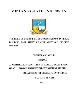 the nature of political violence in masvingo province, 2008.