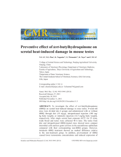 Preventive effect of tert-butylhydroquinone on scrotal heat